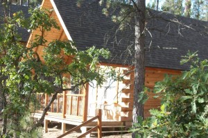 Timber Ridge #4 Timber Ridge at Rustic Ridge Guest Cabins