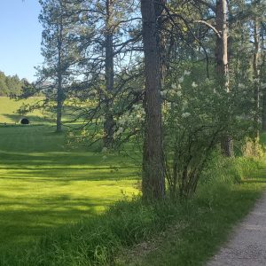 Homestead House View at Rustic Ridge Guest Cabins