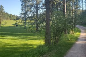 Homestead House View at Rustic Ridge Guest Cabins