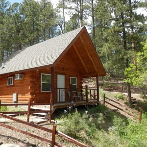 Timber Ridge Timber Ridge Exterior at Rustic Ridge Guest Cabins
